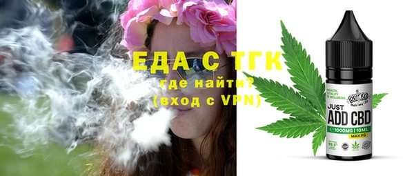 индика Володарск