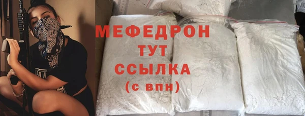 индика Володарск