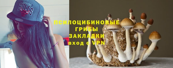 гашик Верхнеуральск