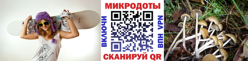 OMG онион  Знаменск  Псилоцибиновые грибы MAGIC MUSHROOMS  как найти  
